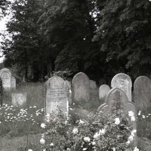 𝘊𝘰𝘵𝘪𝘵𝘰