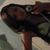 stefany
