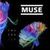 FanMuse