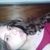 leticia