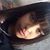 Morena