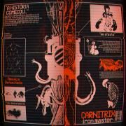 Relógio Esquisito - Carnitrix (Ben 10 AU)}