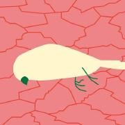 Capa do Single/EP "Armário", de Clã