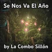 Se Nos Va El Año