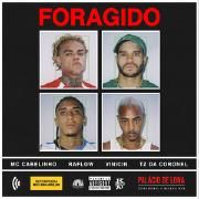 Foragido (MC Cabelinho, Vinicin e Raflow)}