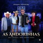 As Andorinhas (Ao Vivo) (part. Trio Parada Dura)}