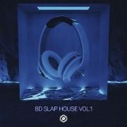 Portada de Álbum "8D Slap House Vol.1", de 8D Tunes