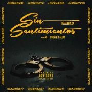 Sin Sentimientos (remix) (part. Osdan y Alem)