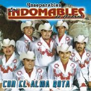 Capa do Álbum "Alma Rota", de Los Indomables de Cedral