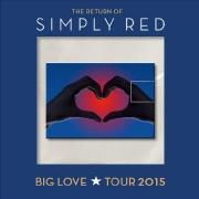 The Big Love Tour 2015: Live In Odense}