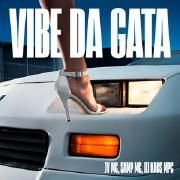 Vibe da Gata (part. Samp MC e DJ Kaos MPC)}