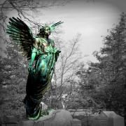 Angel's cemetery special halloween}