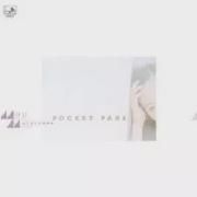 Pocket Park}