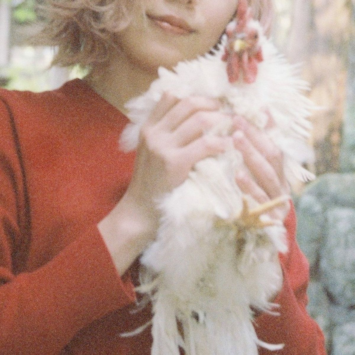 Red Comb