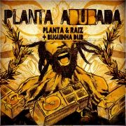 Planta Adubada}