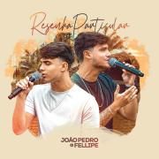 Resenha Particular (Covers)}
