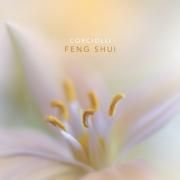 Feng Shui}