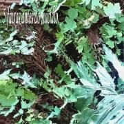 5 faixas antes do suicídio}