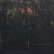 Capa do Álbum "Afraid Of Knowing", de Cynical Theory