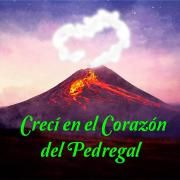 Crecí en el Corazón del Pedregal (En vivo)