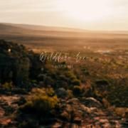 Wildfire Love}