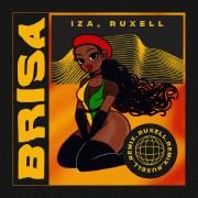 Brisa (Ruxell Remix)}