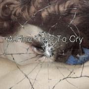 Portada de Sencillo/EP "A Fine Time To Cry ", de Lil Lavi