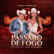 Pássaro de Fogo