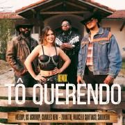 Tô Querendo (remix) (part. US Agroboy, Charles New, Marcelo Santiago, Saulkenn e Zonatto)