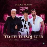 Tentei Te Esquecer
