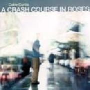 A Crash Course In Roses