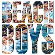 The Beach Boys (1985)}