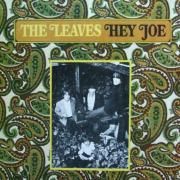 Hey Joe}