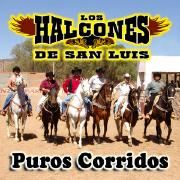 Capa do Álbum "Puros Corridos", de Los Halcones de San Luis
