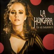 Es un bandolero}