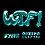 WTF (feat. Sybyr)