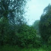 pero no quiero disolverme}