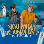 Vou Parar de Tomar Gin 2 (part. MC IG)}