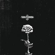 Capa do Single/EP "Luta", de Tara Perdida