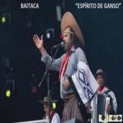 Espírito de Ganso }
