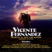 Capa do Álbum "Tributo al Rey Con Banda (Grandes Duetos Vol. 2)", de Vicente Fernández