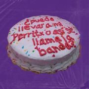 Portada de Sencillo/EP "Puedo Llevar a Mi Perritx o Así Se Llama La Banda?", de Pet Friendly