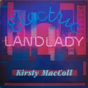 Electric Landlady