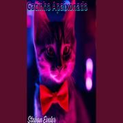 Gatinho Apaixonado}