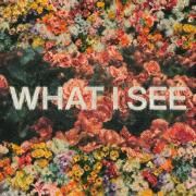 What I See}