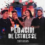 Pedacim de Estresse (Ao Vivo) (part. Rudã & Raphael)}
