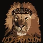 Portada de Álbum "Attention", de 4ever Falling