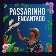 Passarinho Encantado}