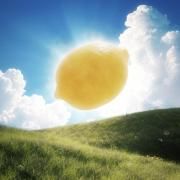 Lemon Tang - The 2nd Mini Album}