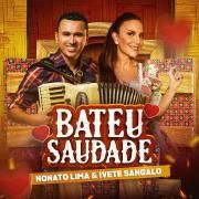 Bateu Saudade (part. Nonato Lima)}